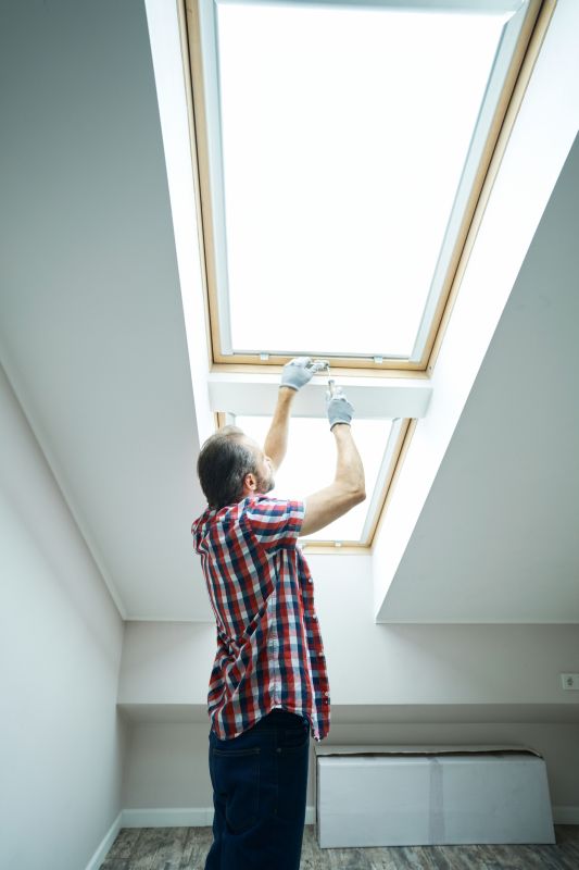 Skylight Washing